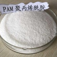 藍(lán)星化工聚丙烯酰胺pam