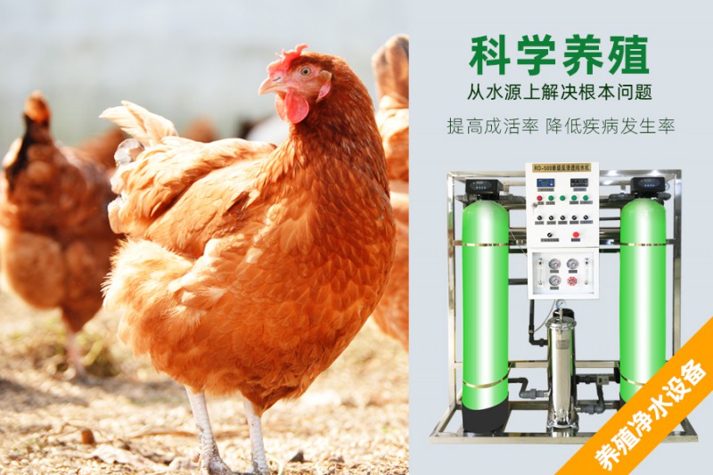 養(yǎng)雞場專用凈水設(shè)備,大型凈水器,純凈水設(shè)備